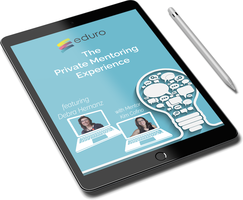 Free download The Private Mentoring Experience